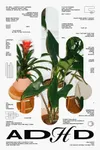 Adhd 01 Noise