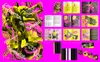 STA100 26 We Play Design Les Printemps de Sévelin 25 Identity