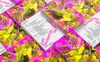 STA100 26 We Play Design Les Printemps de Sévelin 25 Save the date