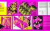 STA100 26 We Play Design Les Printemps de Sévelin 25 Program