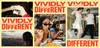 Vivid board