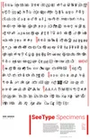 See Type Specimens Poster